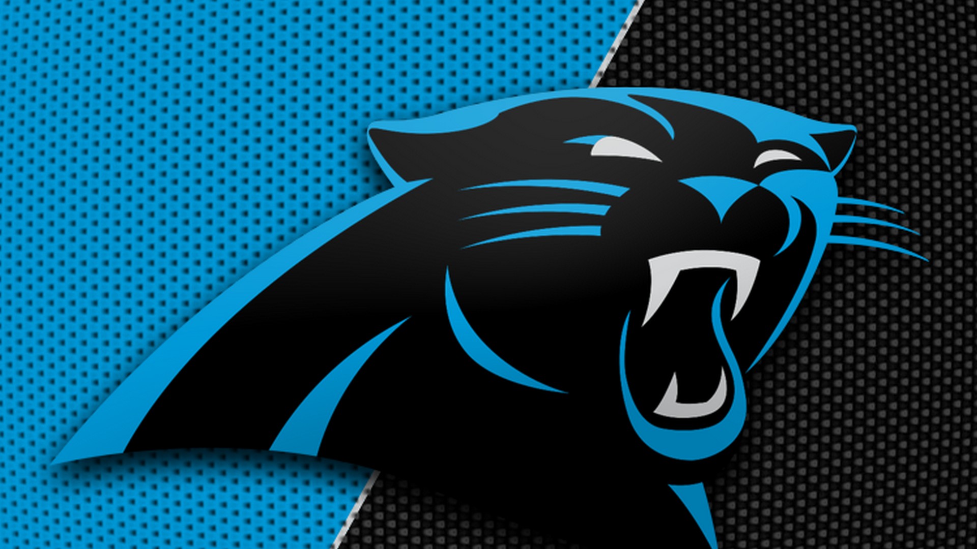 carolina panthers tapete,schriftart,grafikdesign,felidae,schnurrhaare,illustration