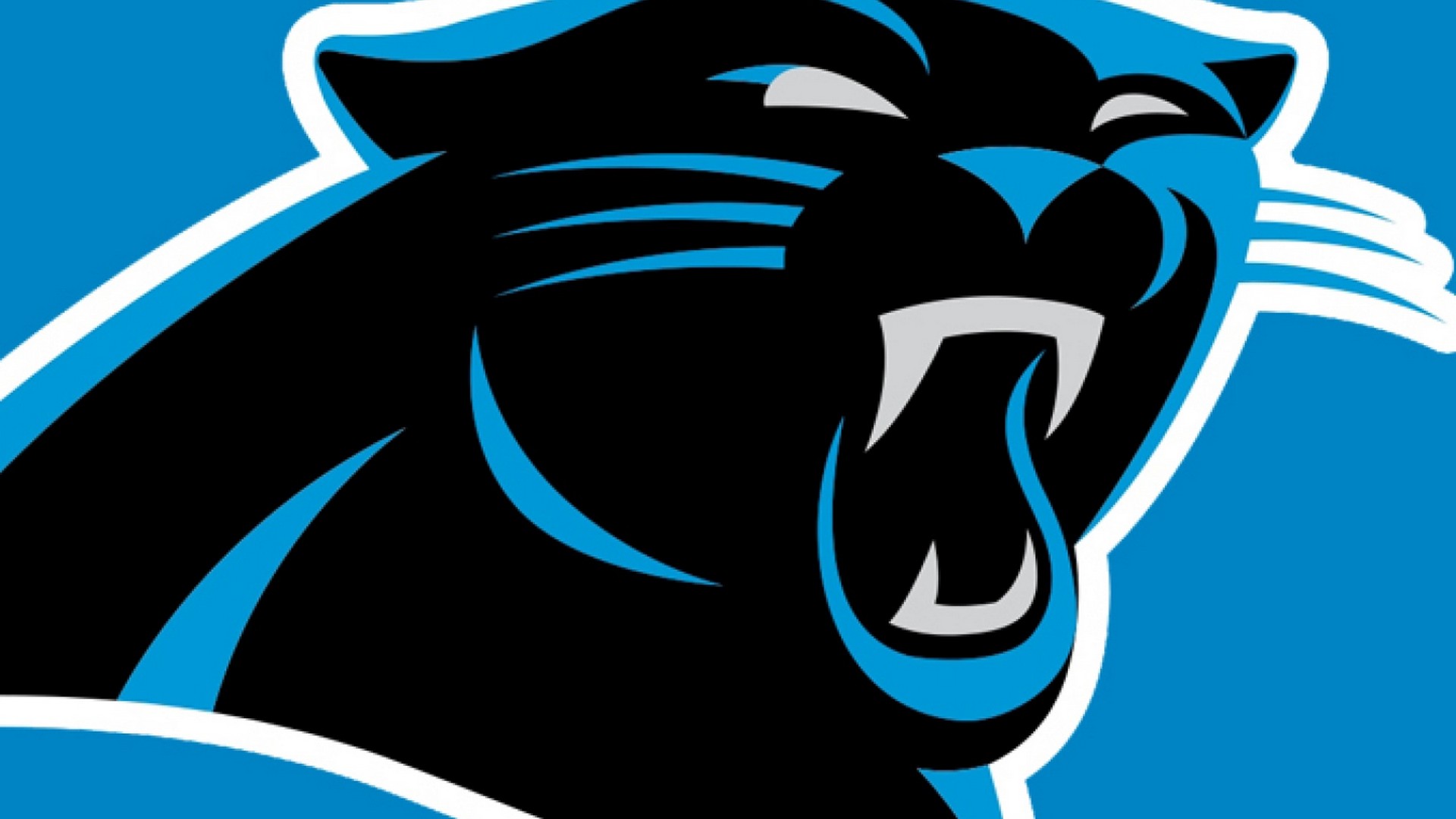 fondo de pantalla de carolina panthers,clipart,fuente,ilustración,gráficos,diseño gráfico