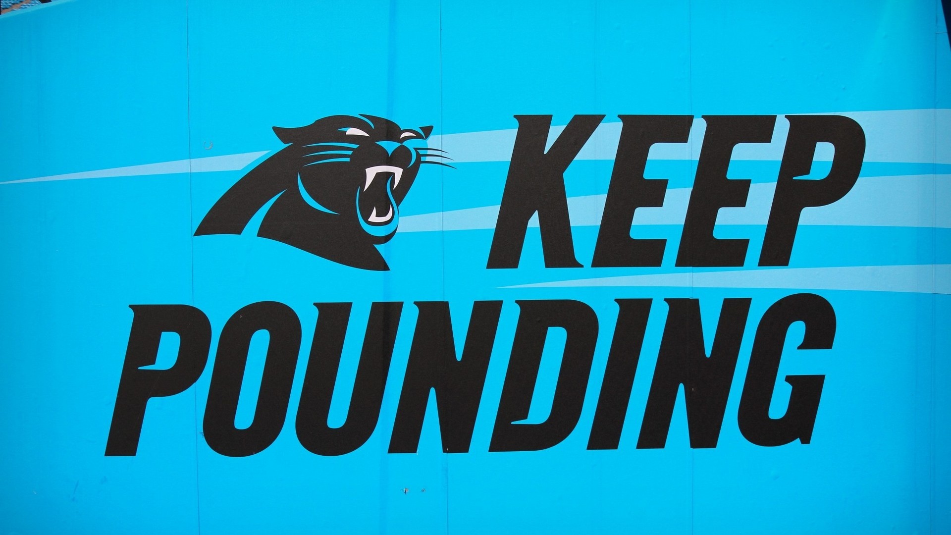 carolina panthers wallpaper,font,logo,text,turquoise,graphics