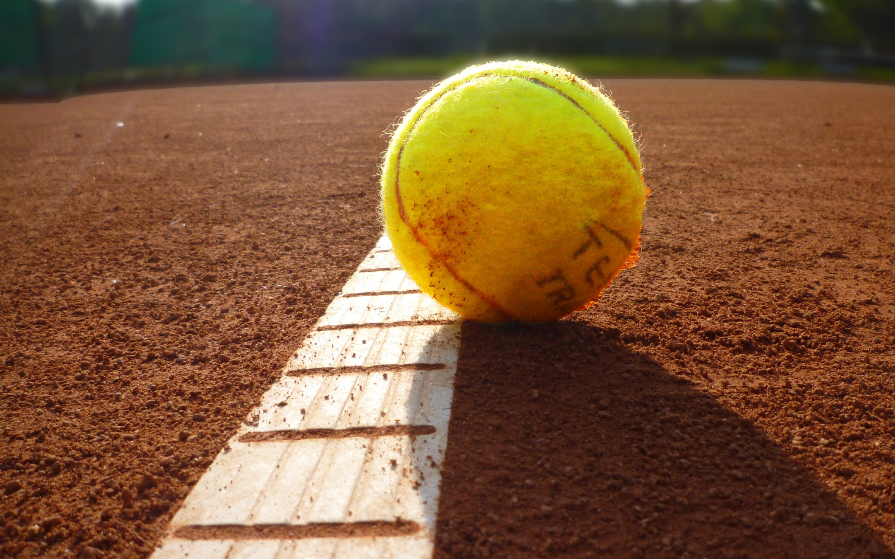 fond d'écran de tennis,balle de tennis,tennis,court de tennis,sport de raquette,jaune