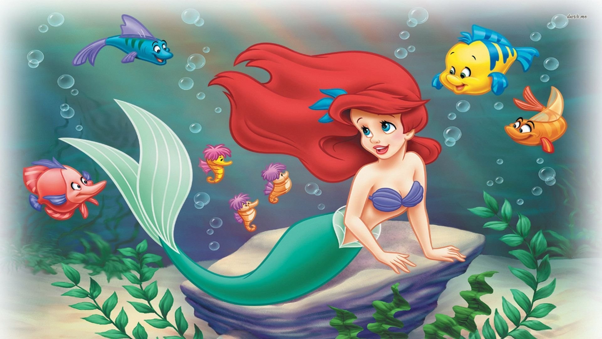 little mermaid wallpaper,animated cartoon,cartoon,fictional character,mythical creature,illustration