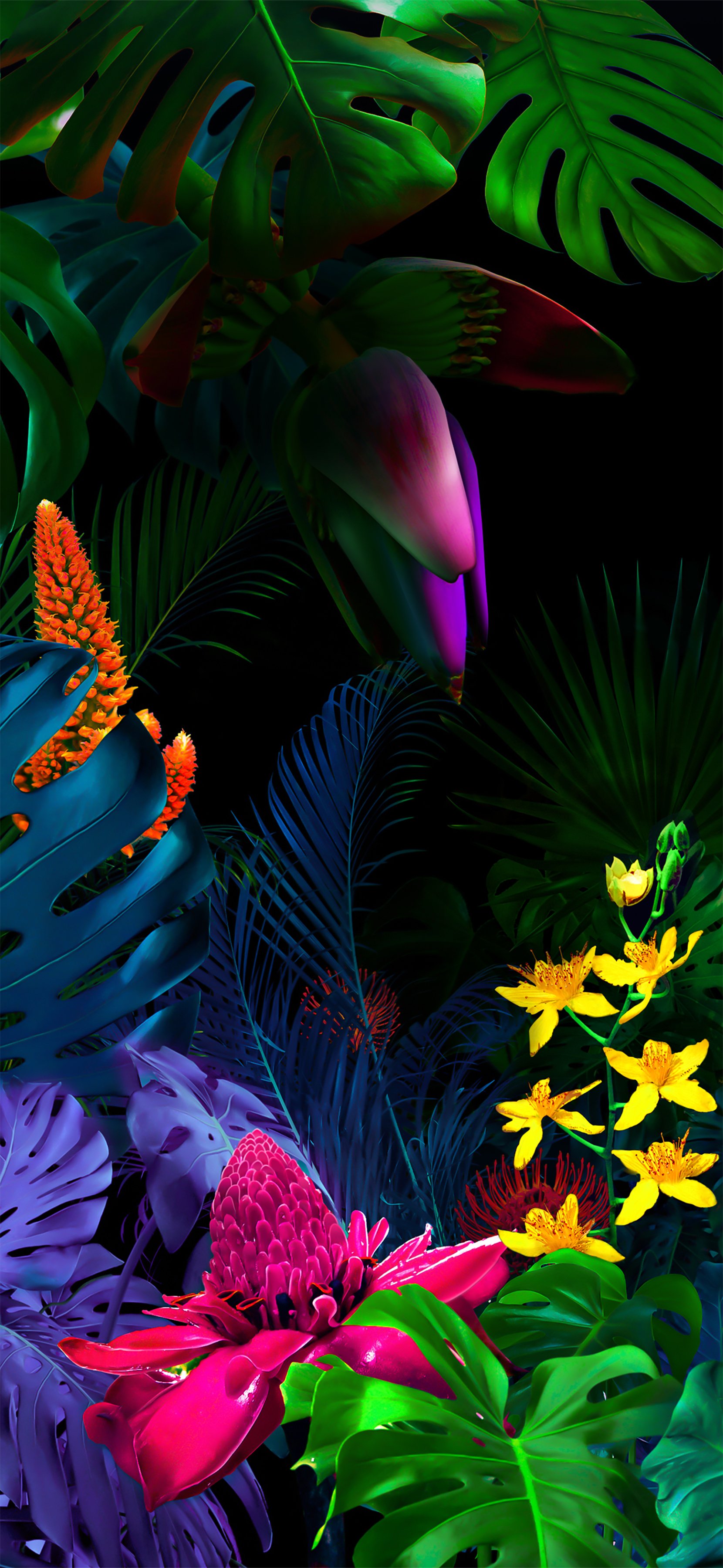 lg 라이브 배경 화면,자연,삽화,식물,잎,나비