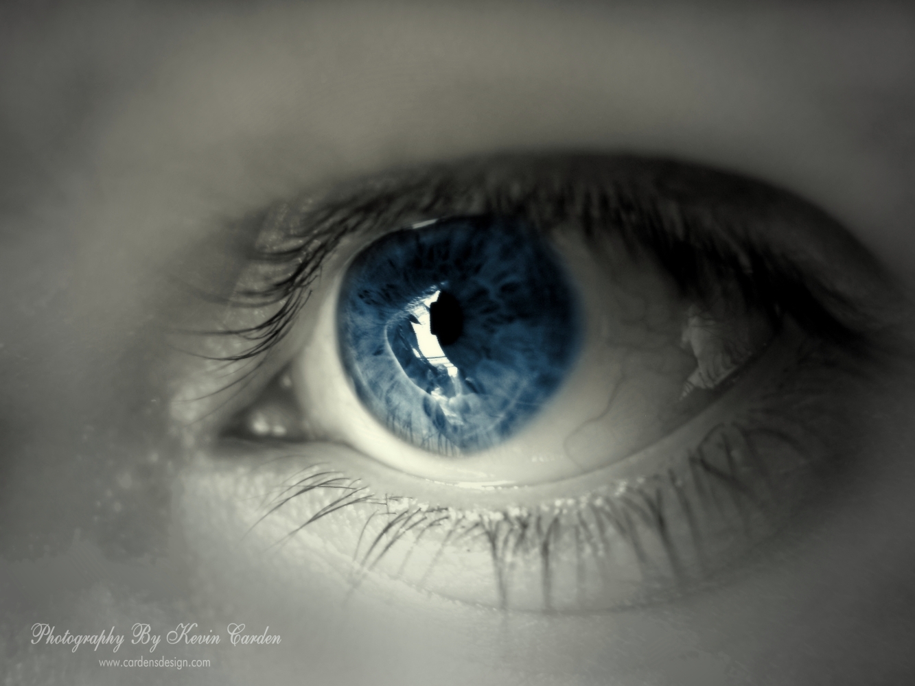 ojos fondos de pantalla hd,ojo,iris,azul,pestaña,ceja