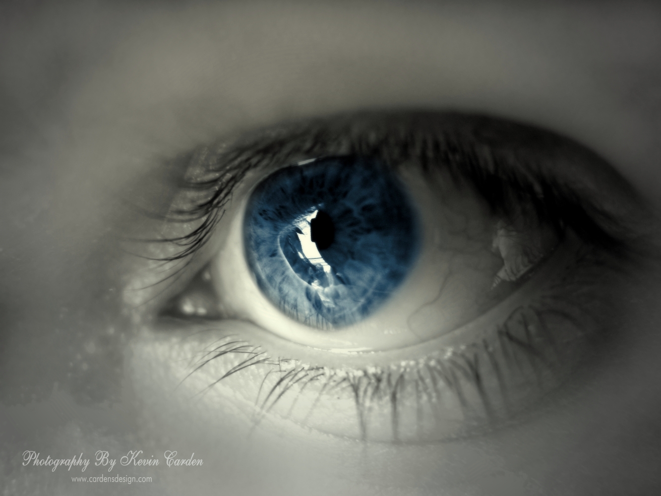 eyes wallpaper hd,eye,iris,blue,eyelash,eyebrow