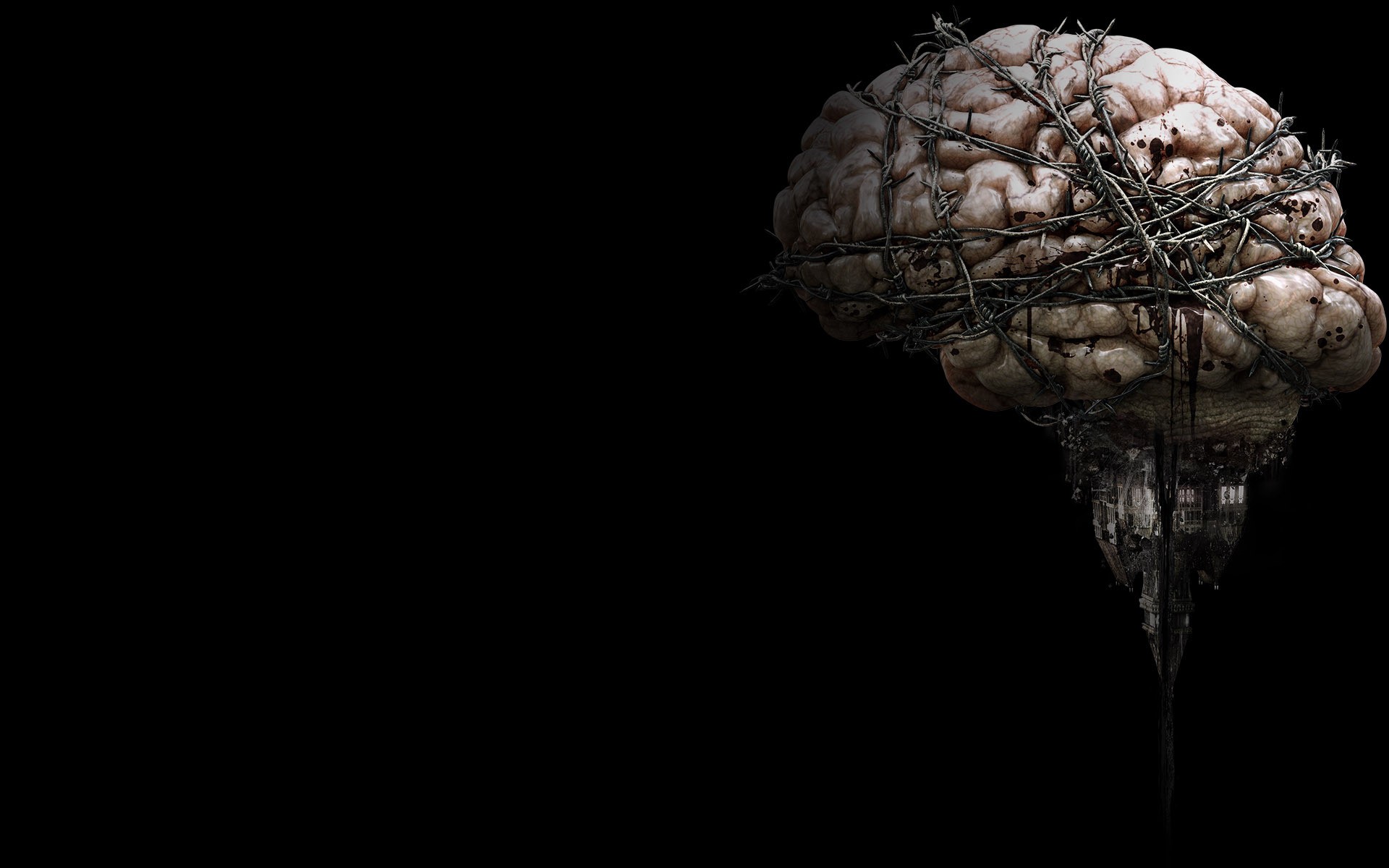 뇌 벽지,뇌,머리,뇌,정물 사진,사진술