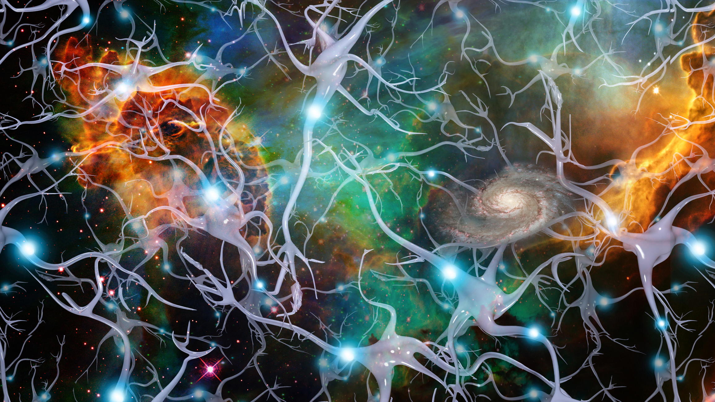 fondo de pantalla del cerebro,agua,modelo,arte fractal,diseño,espacio