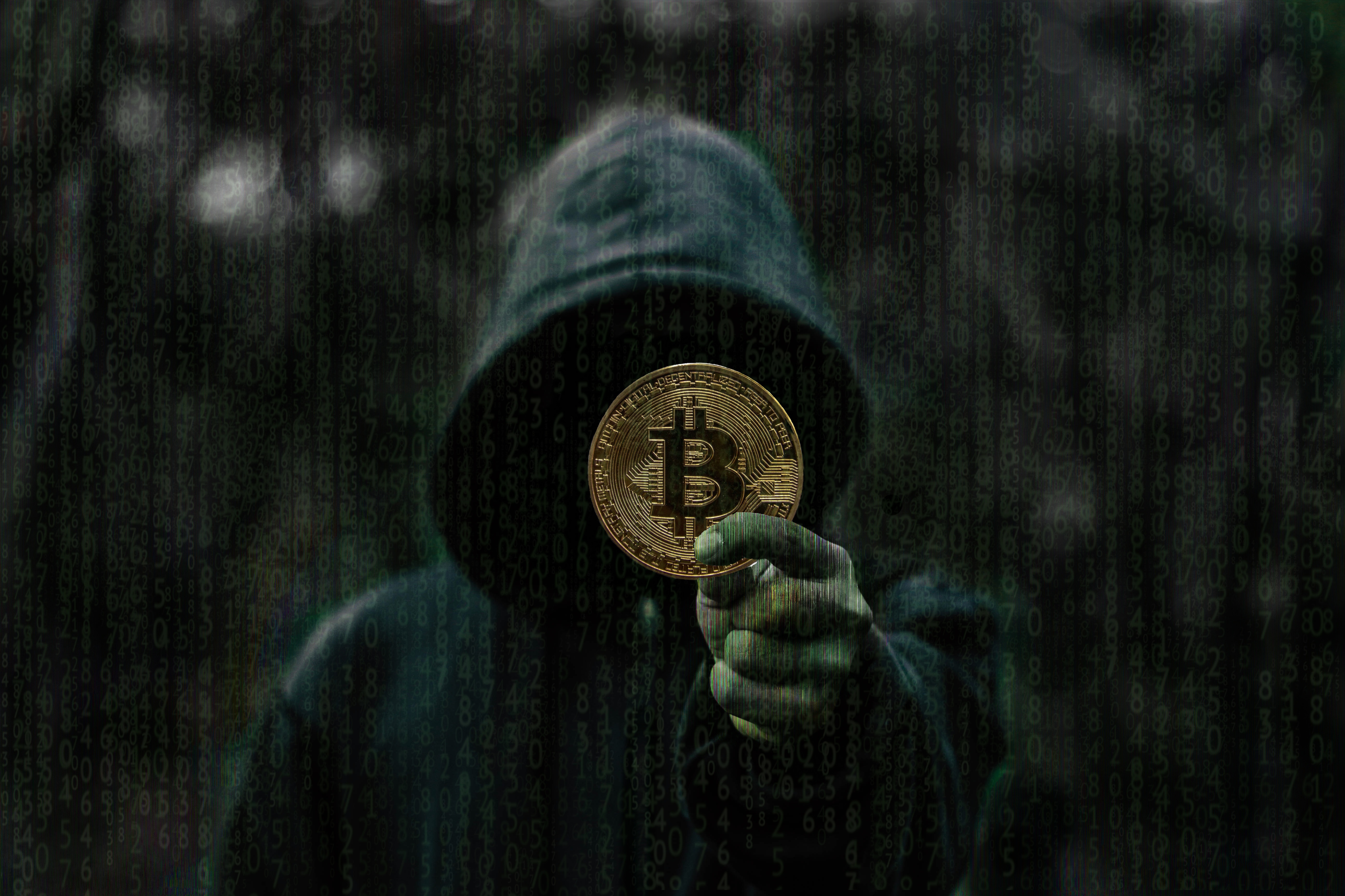 carta da parati bitcoin,verde,buio,albero,fotografia,immagine dello schermo