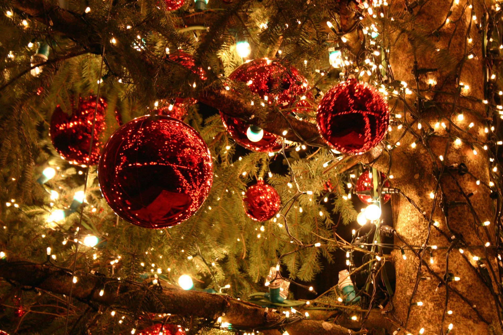 fondo de pantalla de navidad hd,decoración navideña,decoración navideña,árbol de navidad,navidad,árbol