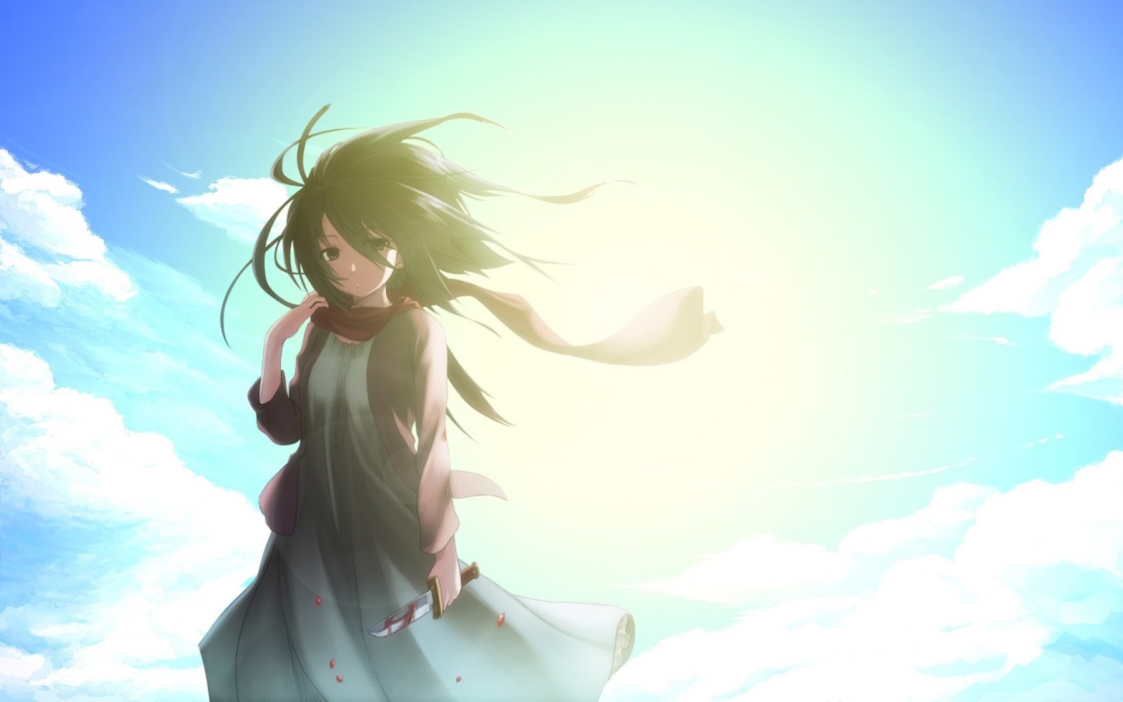 wallpaper anime keren,cg artwork,sky,anime,long hair,calm