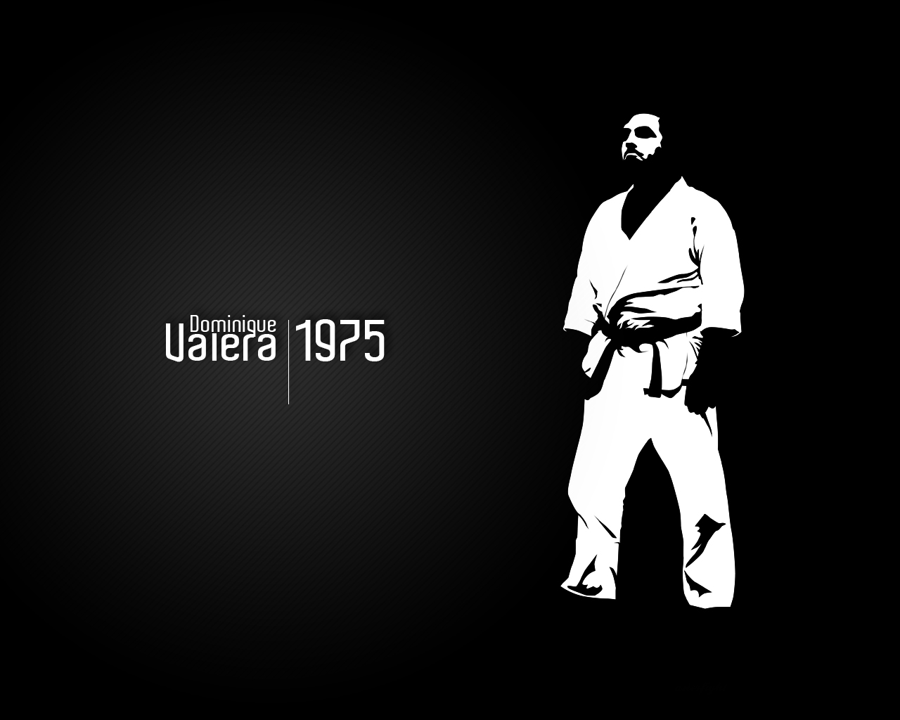 fondo de pantalla de karate,kárate,judo,artes marciales,taekwondo,cinta negra