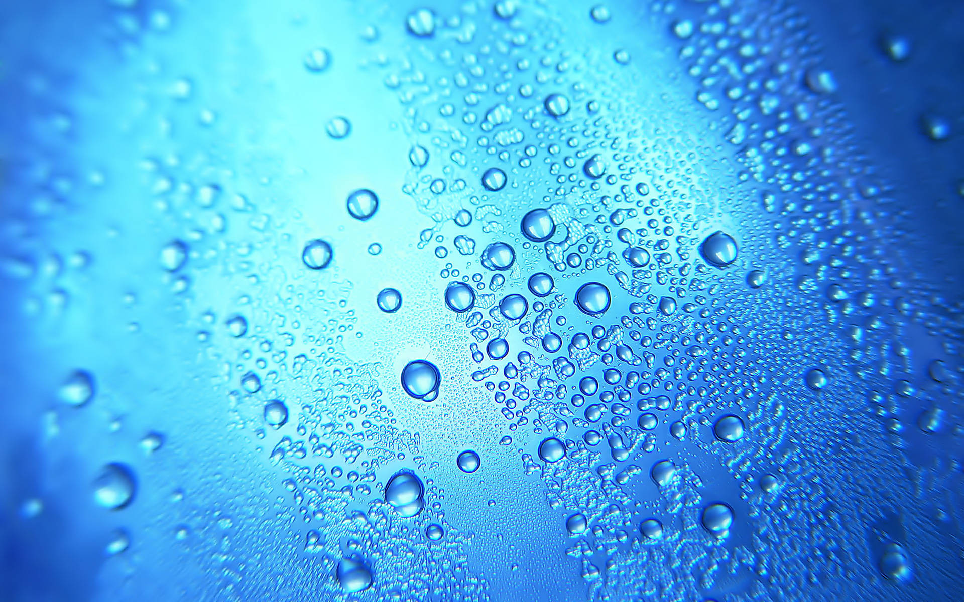 rain drops live wallpapers,blue,water,drop,moisture,liquid bubble