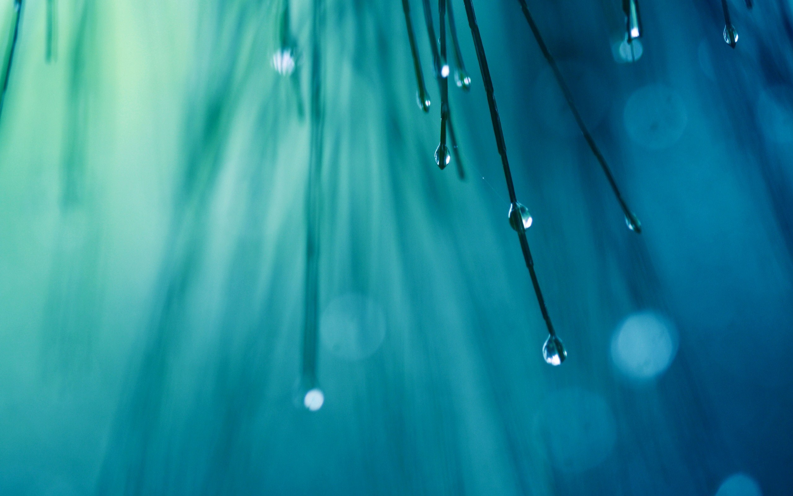 gotas de lluvia fondos de pantalla en vivo,azul,agua,verde,agua,humedad