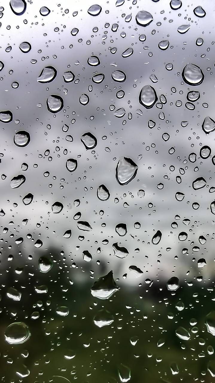 gocce di pioggia sfondi animati,far cadere,acqua,pioggerella,rugiada,umidità
