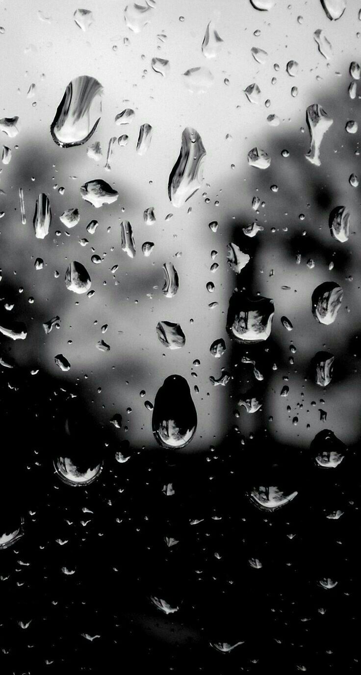 雨滴ライブ壁紙,水,落とす,黒,モノクロ写真,雨