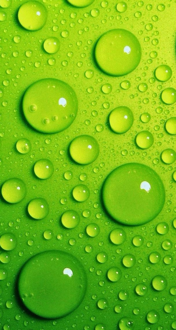 비 방울 라이브 배경 화면,초록,하락,물,이슬,수분