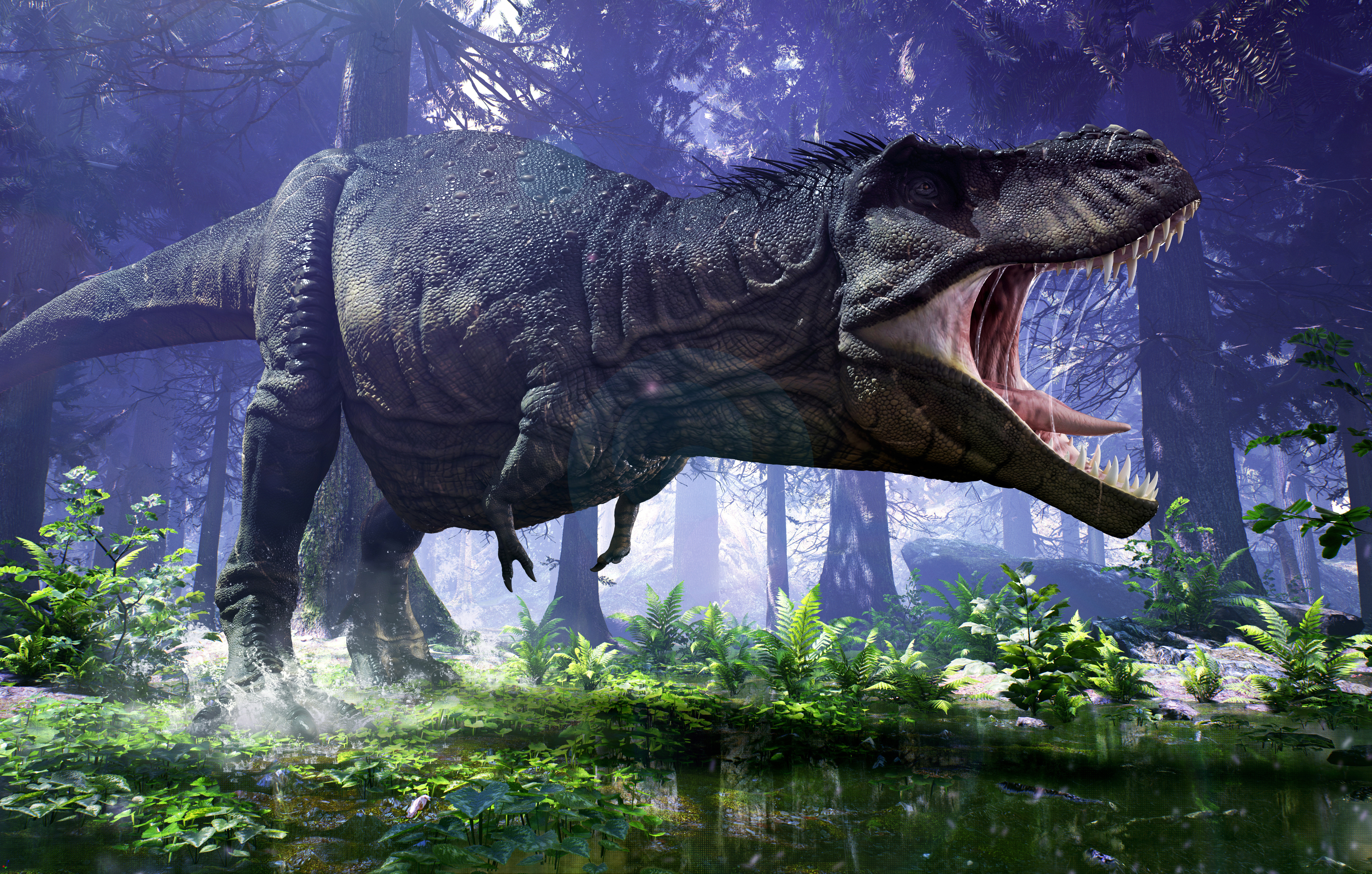 t rex wallpaper,dinosaurier,tyrannosaurus,landtier,tierwelt,velociraptor