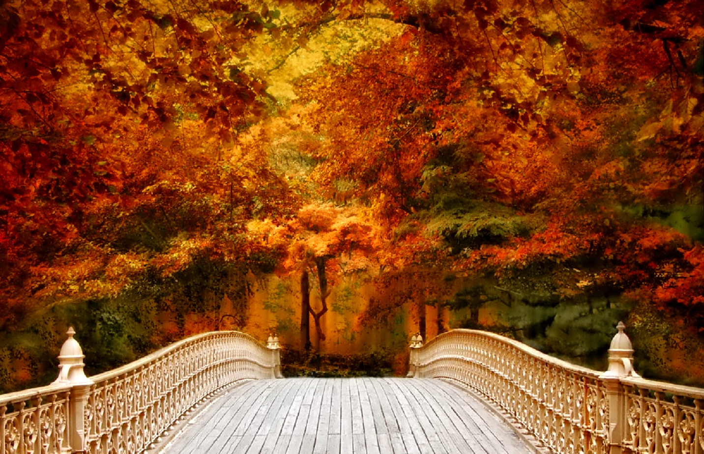 october wallpaper,nature,natural landscape,tree,leaf,autumn