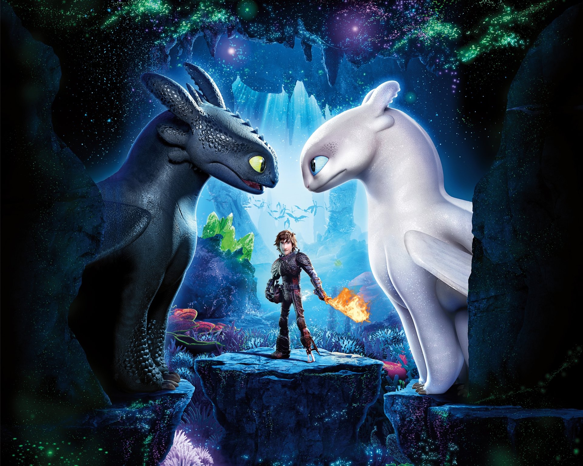 926195 Title Movie How To Train Your Dragon Train Your Dragon