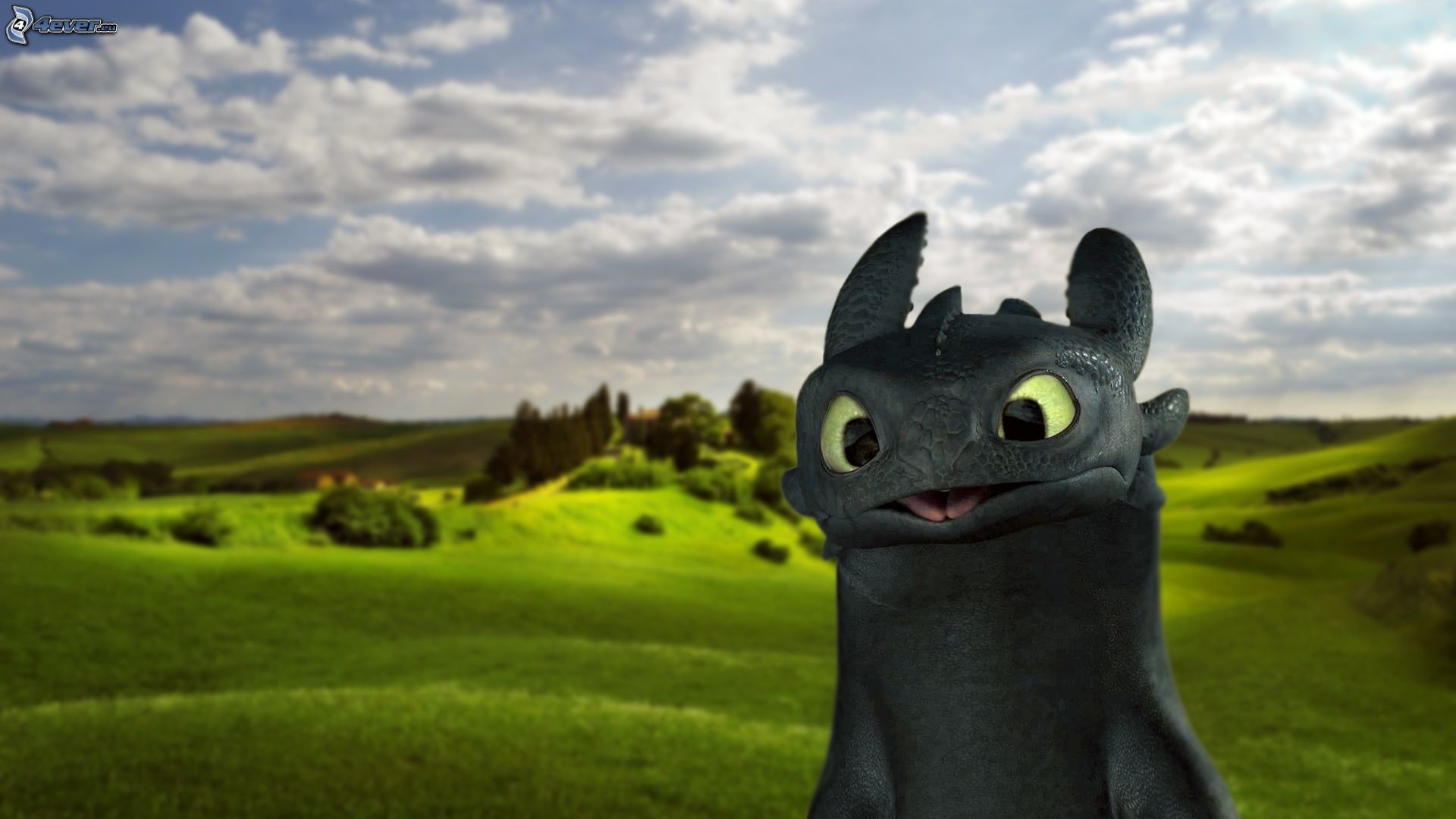 toothless wallpaper,sky,animation,grassland,grass,dragon