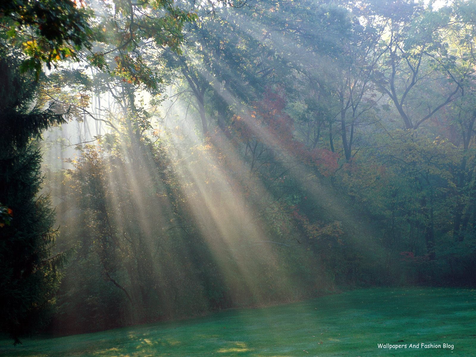 sfondi hd natura 3d per cellulari,paesaggio naturale,natura,luce del sole,risorse idriche,mattina