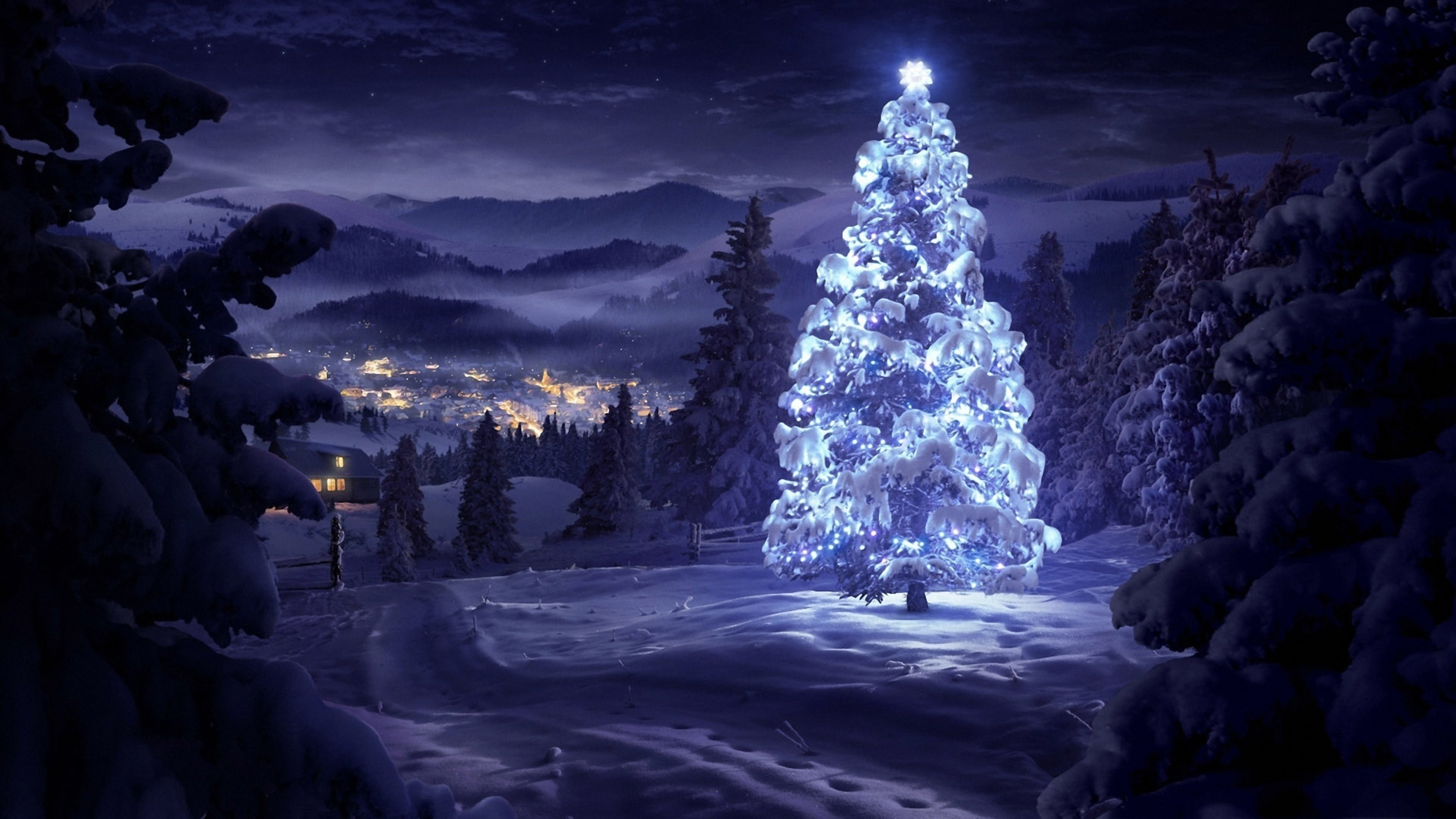 carta da parati natalizia 4k,natura,albero,cielo,leggero,inverno
