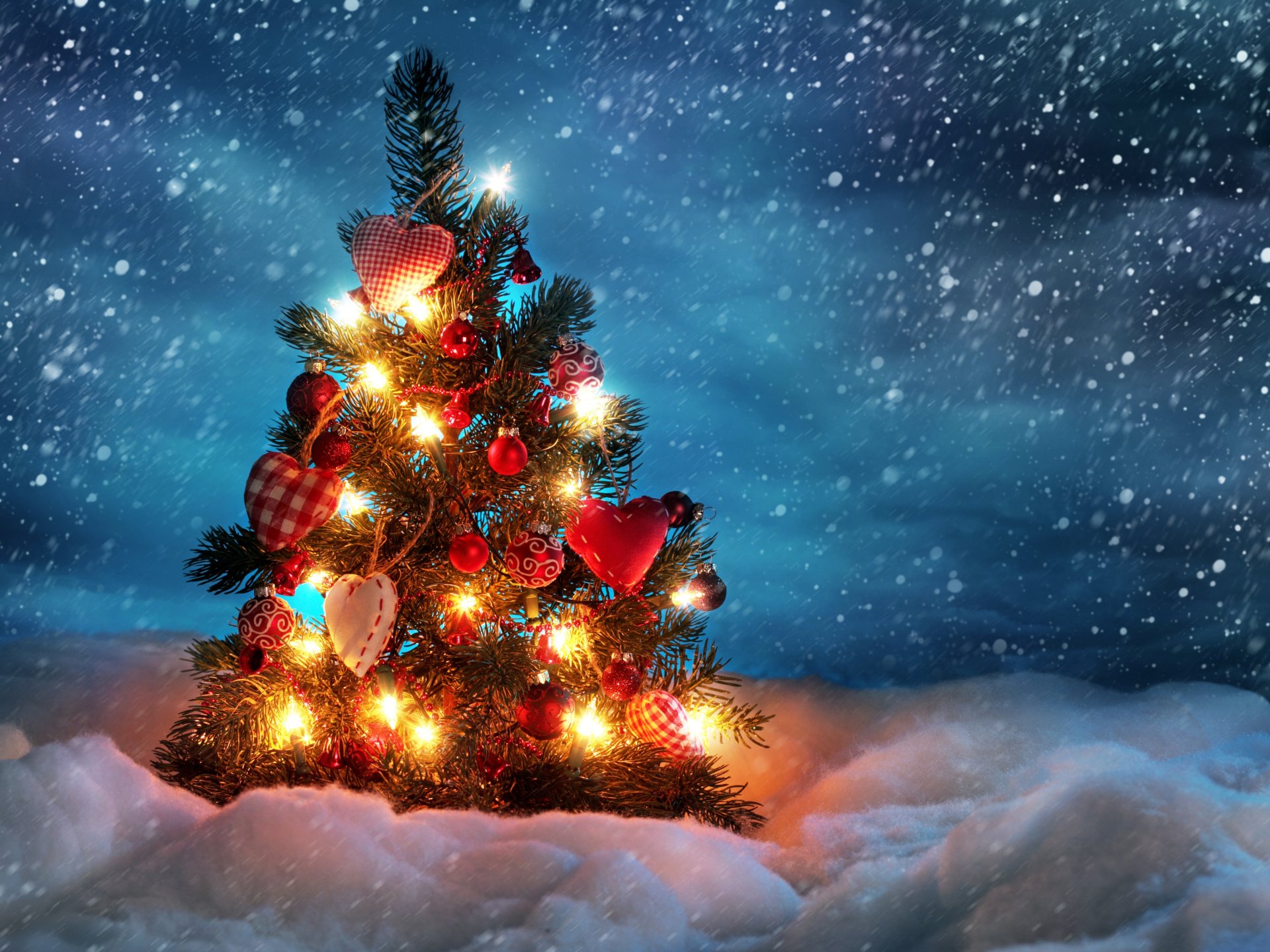 4k christmas wallpaper,christmas tree,sky,nature,tree,christmas