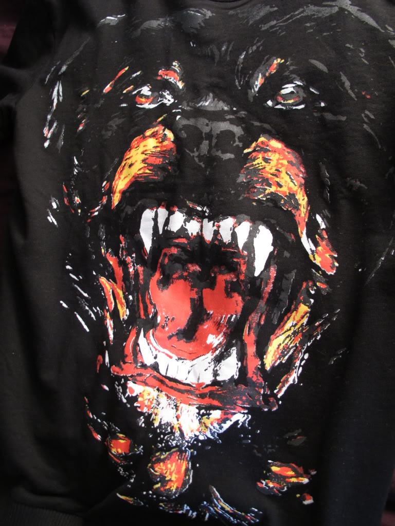 fond d'écran givenchy,rottweiler,chien,t shirt,manche,vêtements d'extérieur