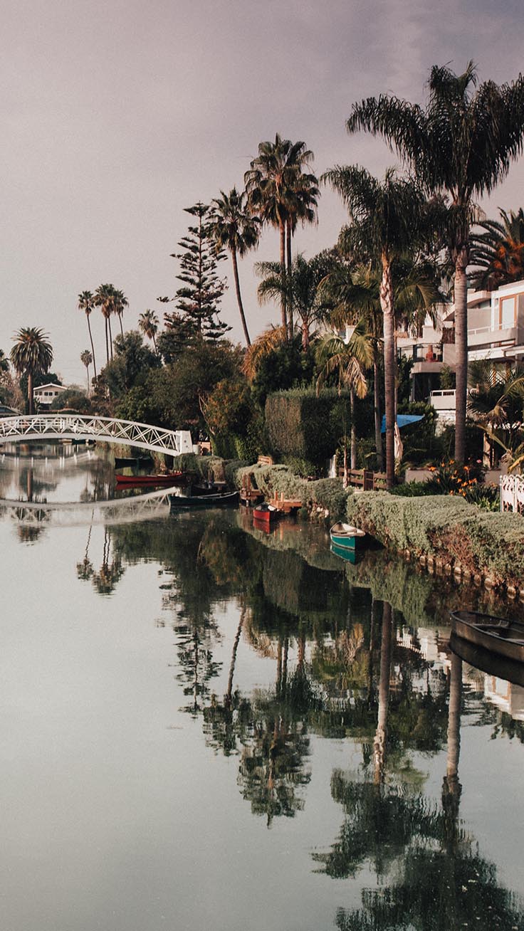 los angeles iphone wallpaper,water,waterway,reflection,tree,palm tree