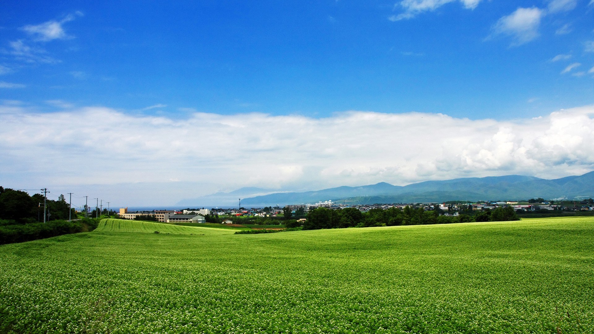 壁紙を開く,空,自然の風景,緑,草原,自然