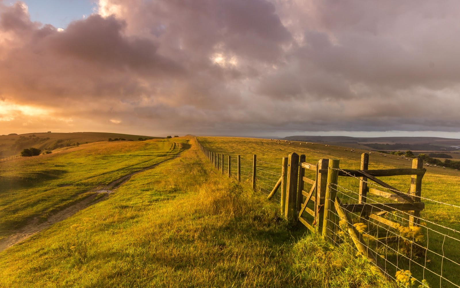 tapete öffnen,wiese,natürliche landschaft,natur,himmel,gras