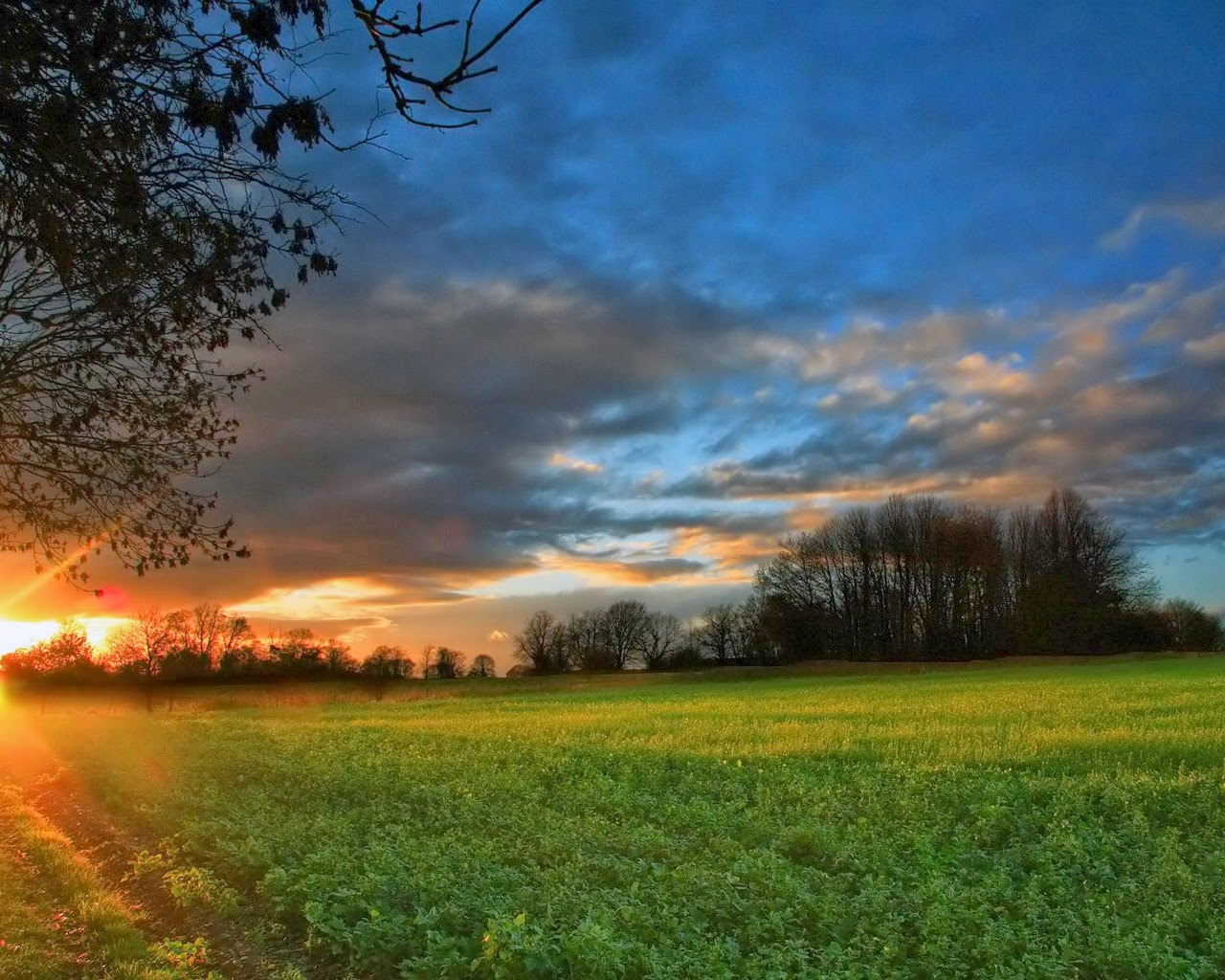 wallpaper sfondi,sky,natural landscape,nature,cloud,field