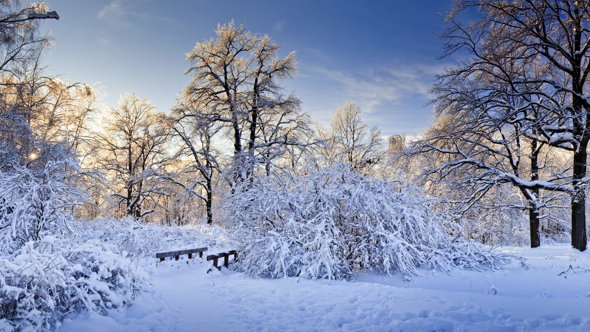 winter snow wallpaper,winter,snow,frost,natural landscape,nature