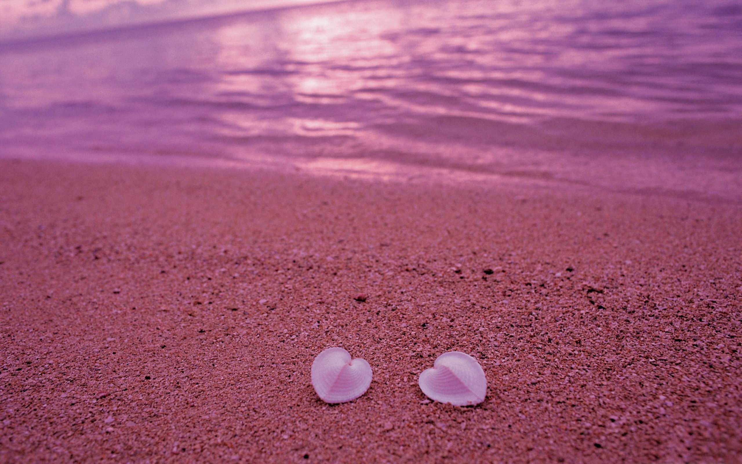 사랑 테마 벽지,모래,분홍,보라색,바다,심장
