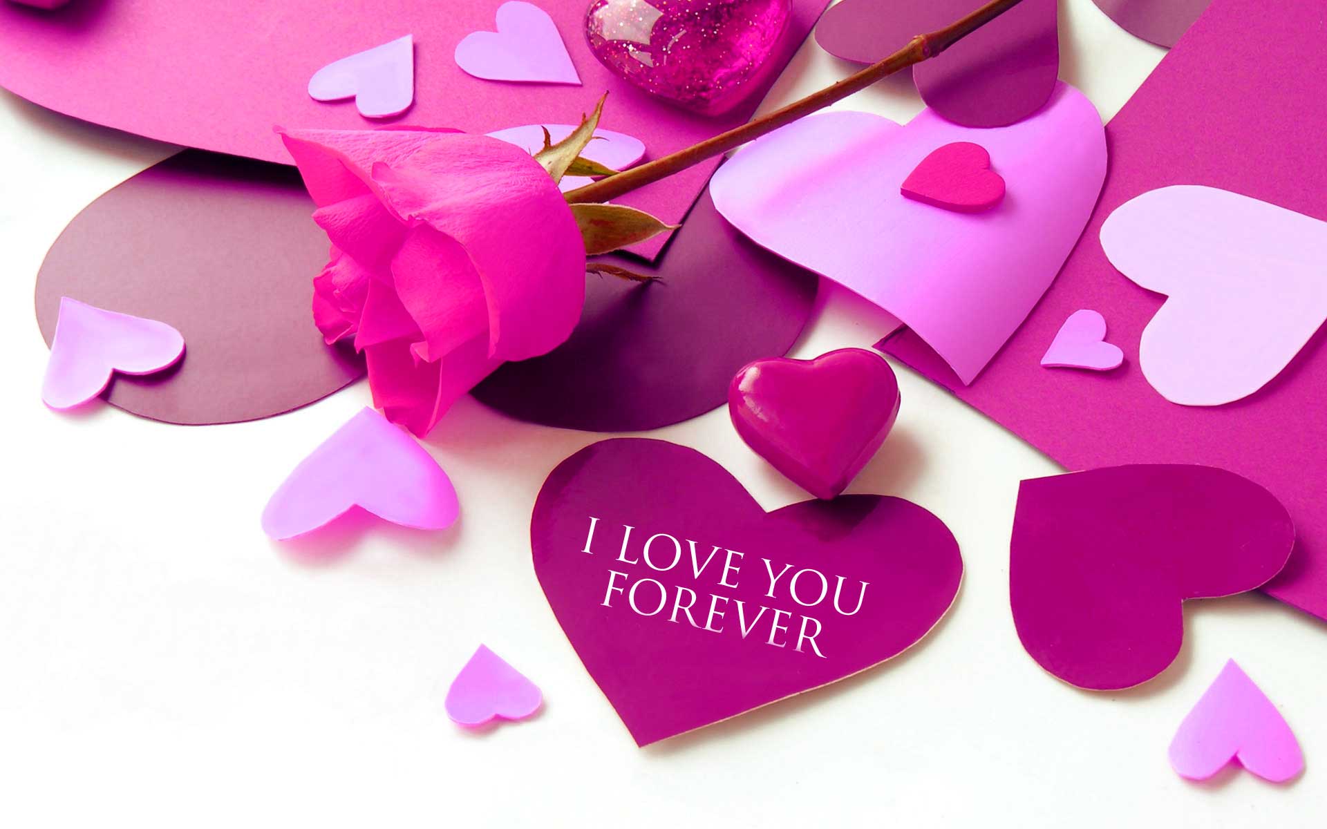 사랑해 벽지 다운로드,심장,분홍,보라색,발렌타인 데이,꽃잎