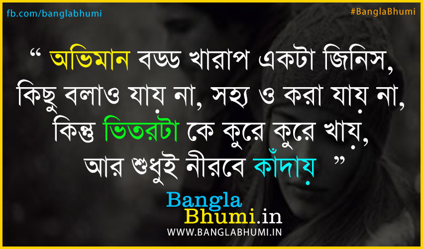 bangla sad wallpaper,text,font,organism,photo caption,photography