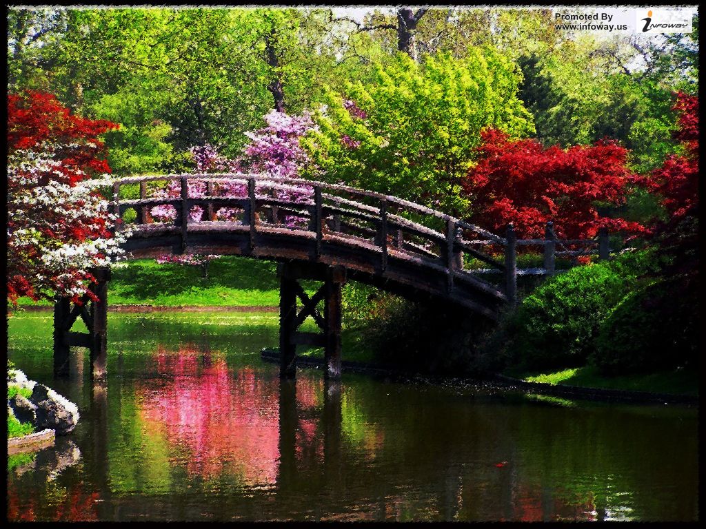 beaux fonds d'écran de paysages,la nature,paysage naturel,arbre,réflexion,jardin