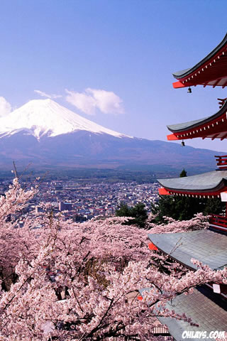 japanese iphone wallpaper,flower,cherry blossom,pagoda,blossom,tourism