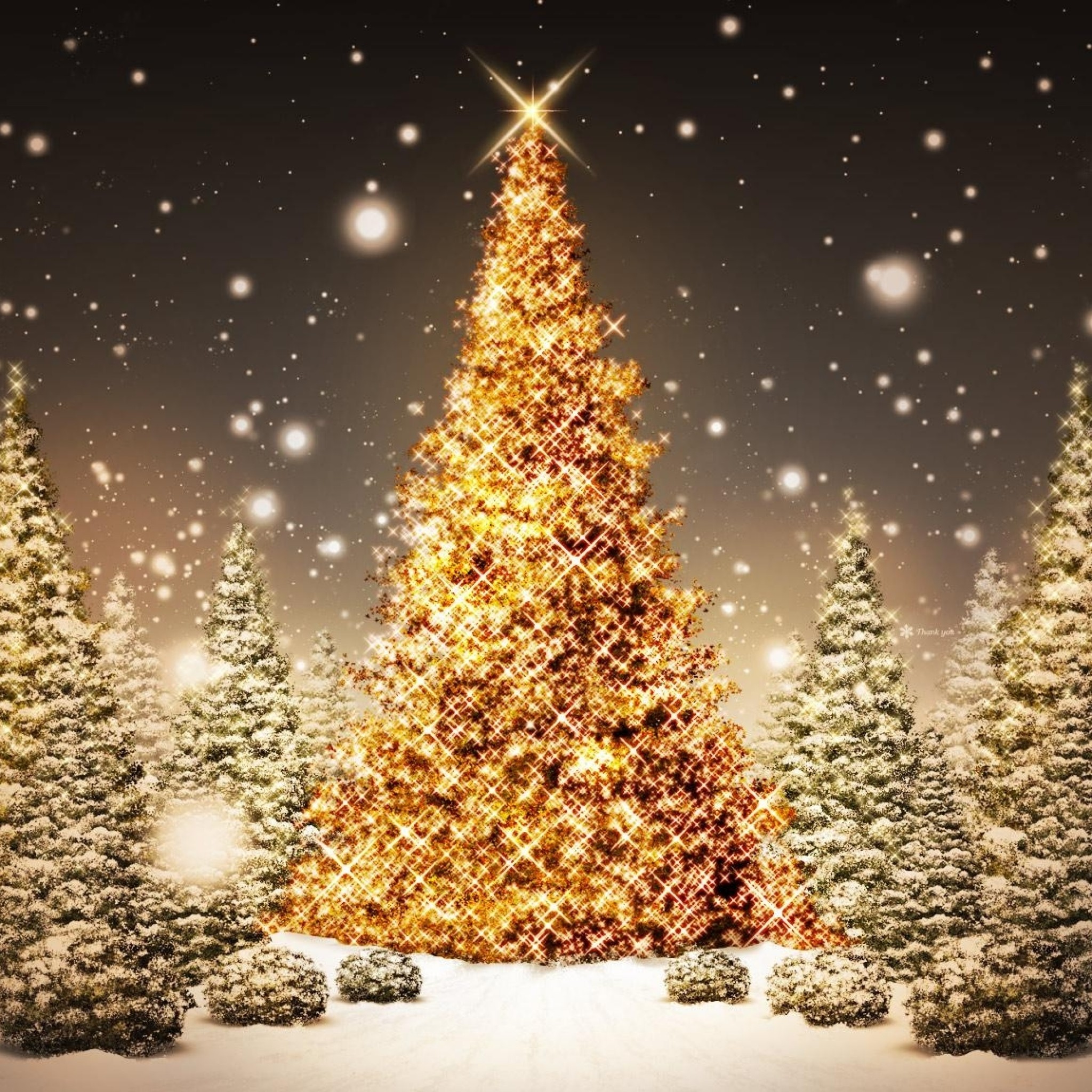 christmas ipad wallpaper,christmas tree,christmas decoration,tree,christmas lights,christmas eve