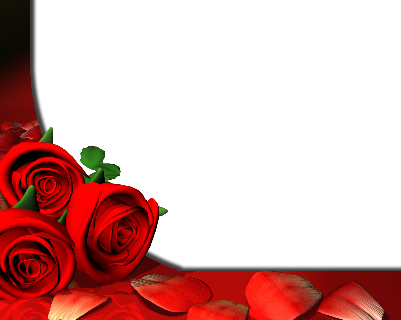 cornice per foto live wallpaper,rosso,rosa,rose da giardino,petalo,fiore