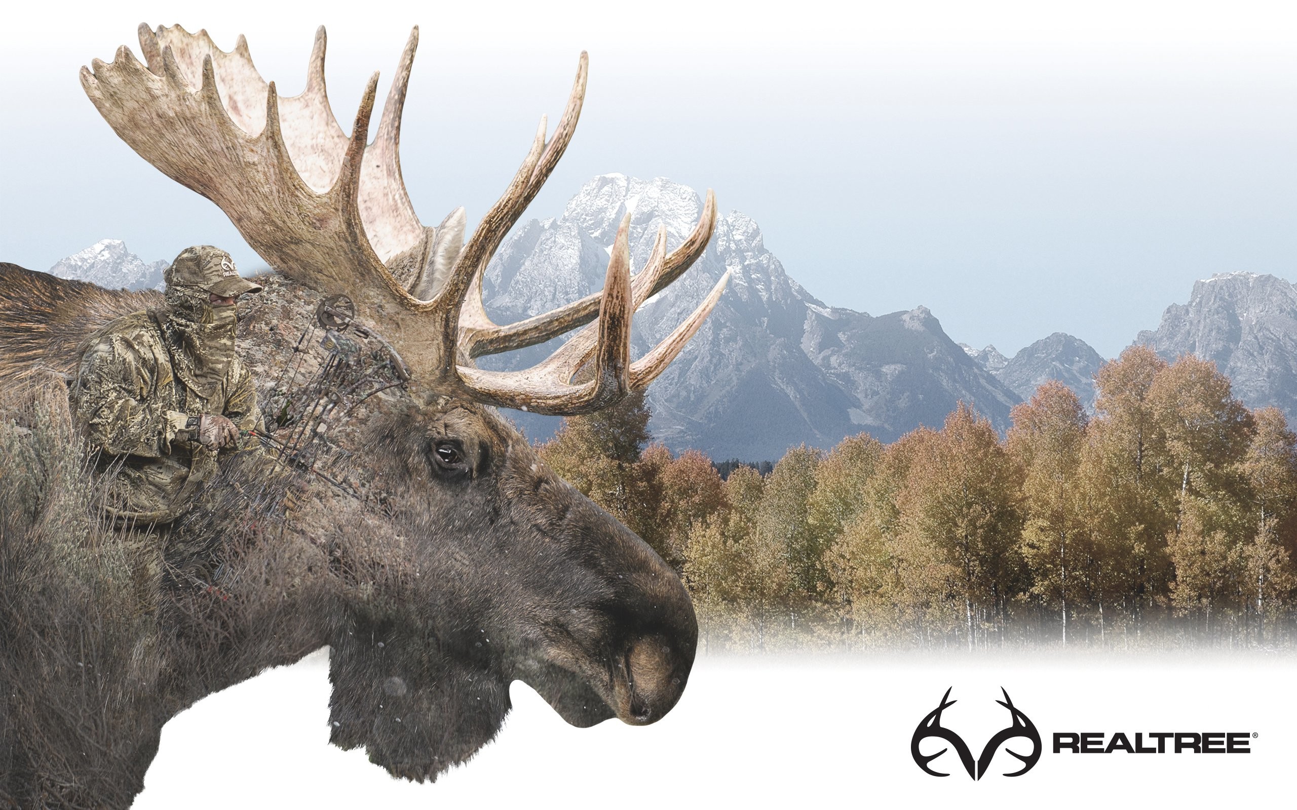 realtree wallpaper,reindeer,barren ground caribou,wildlife,elk,antler
