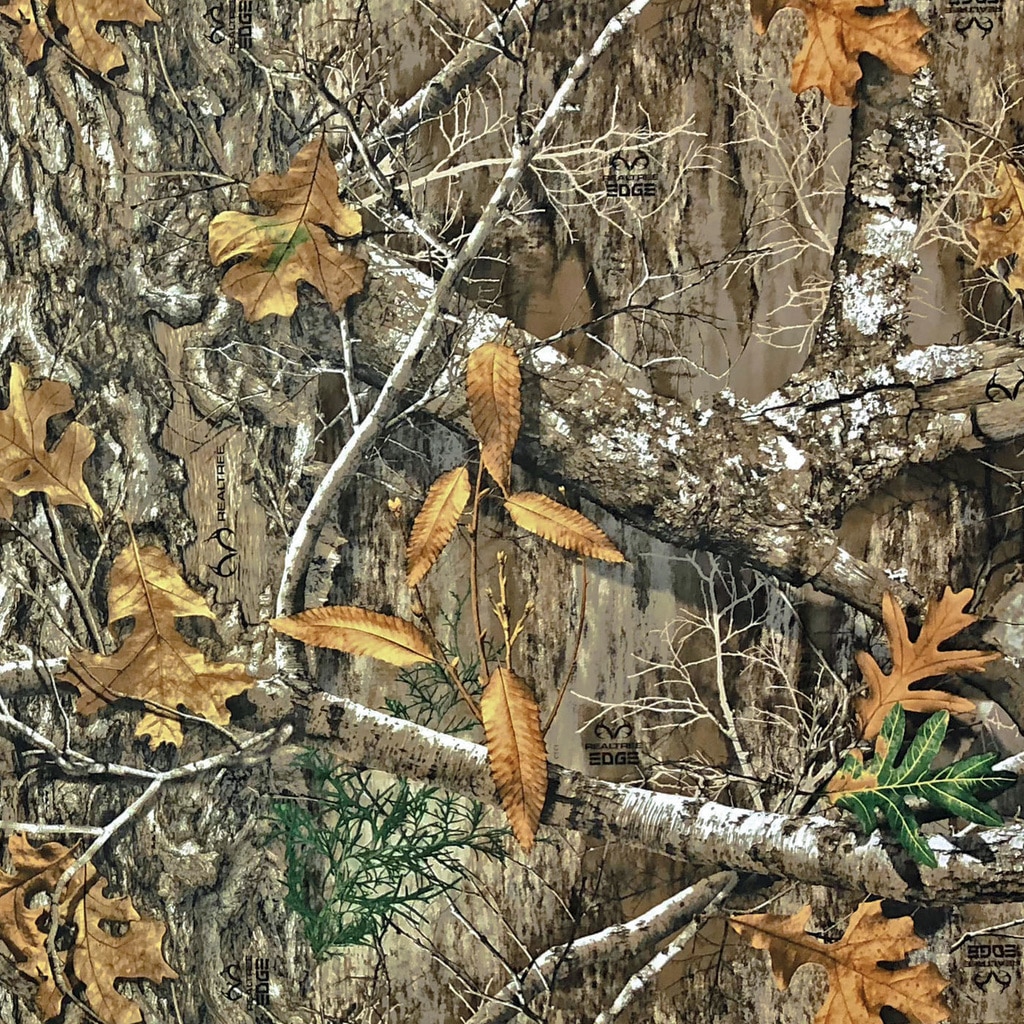 realtree wallpaper,bird,plant,tree,adaptation,camouflage