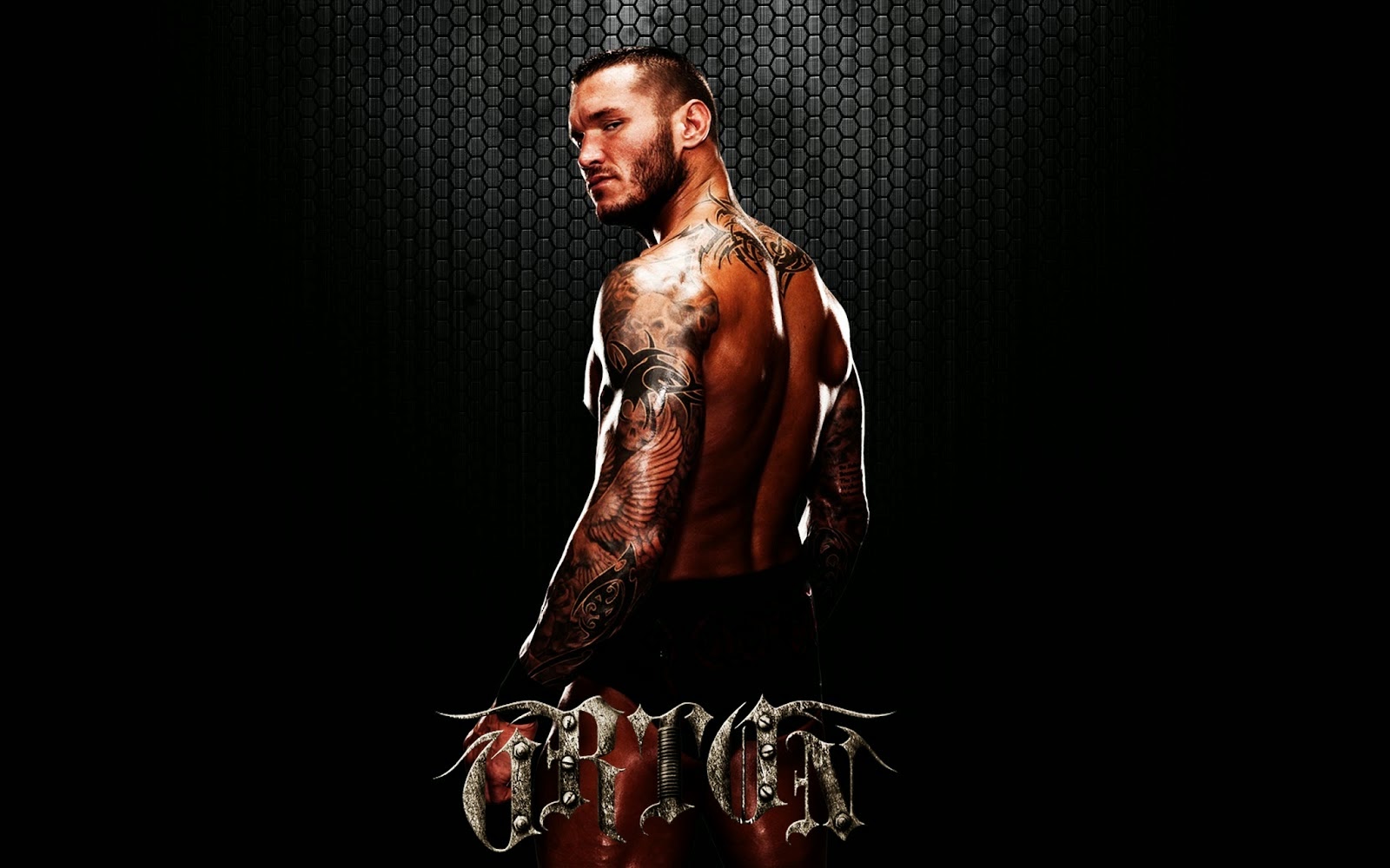 randy orton hd wallpapers,muscle,human,chest,photography,human body
