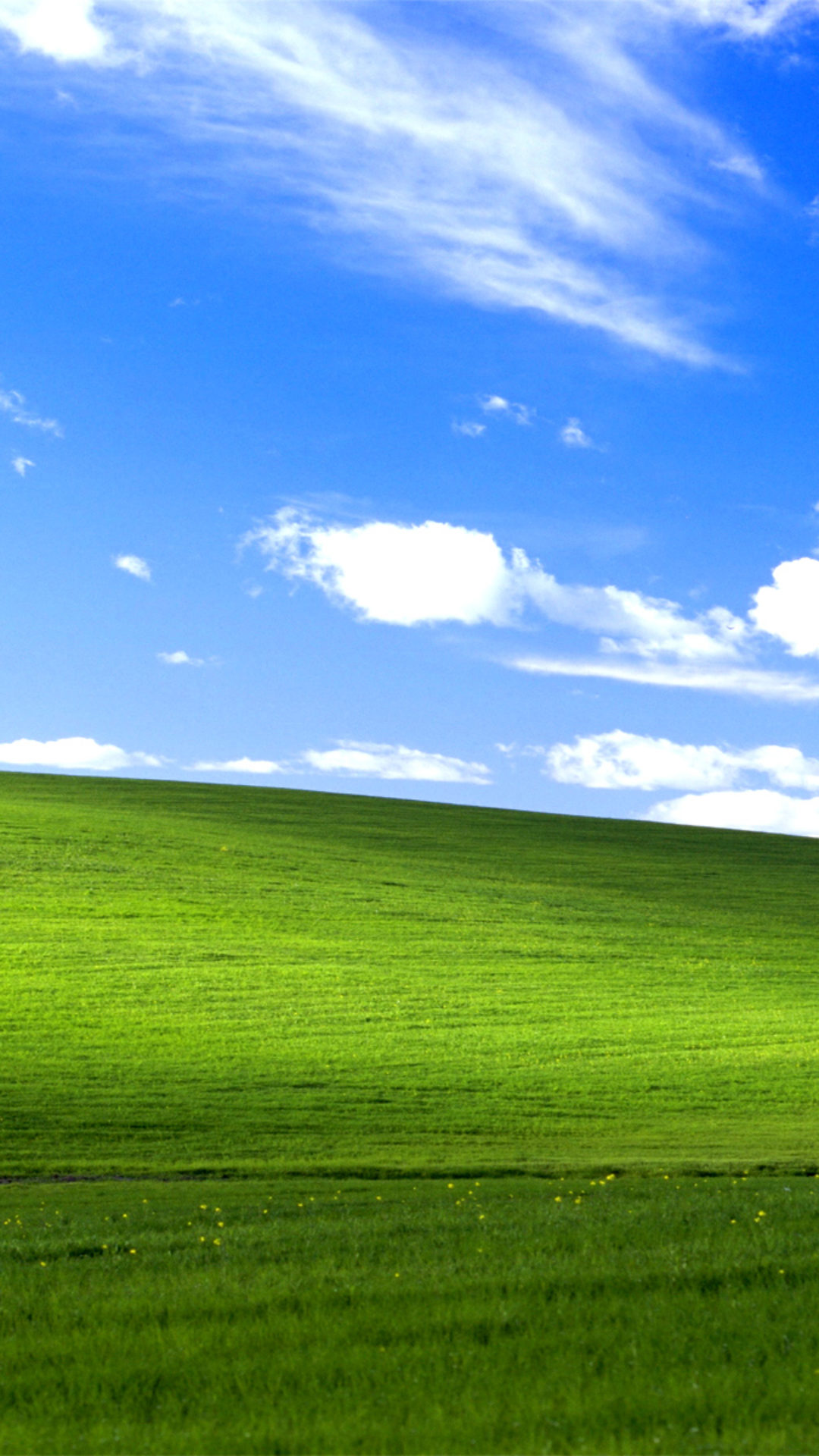 windows xp fond d'écran hd,prairie,vert,ciel,champ,paysage naturel