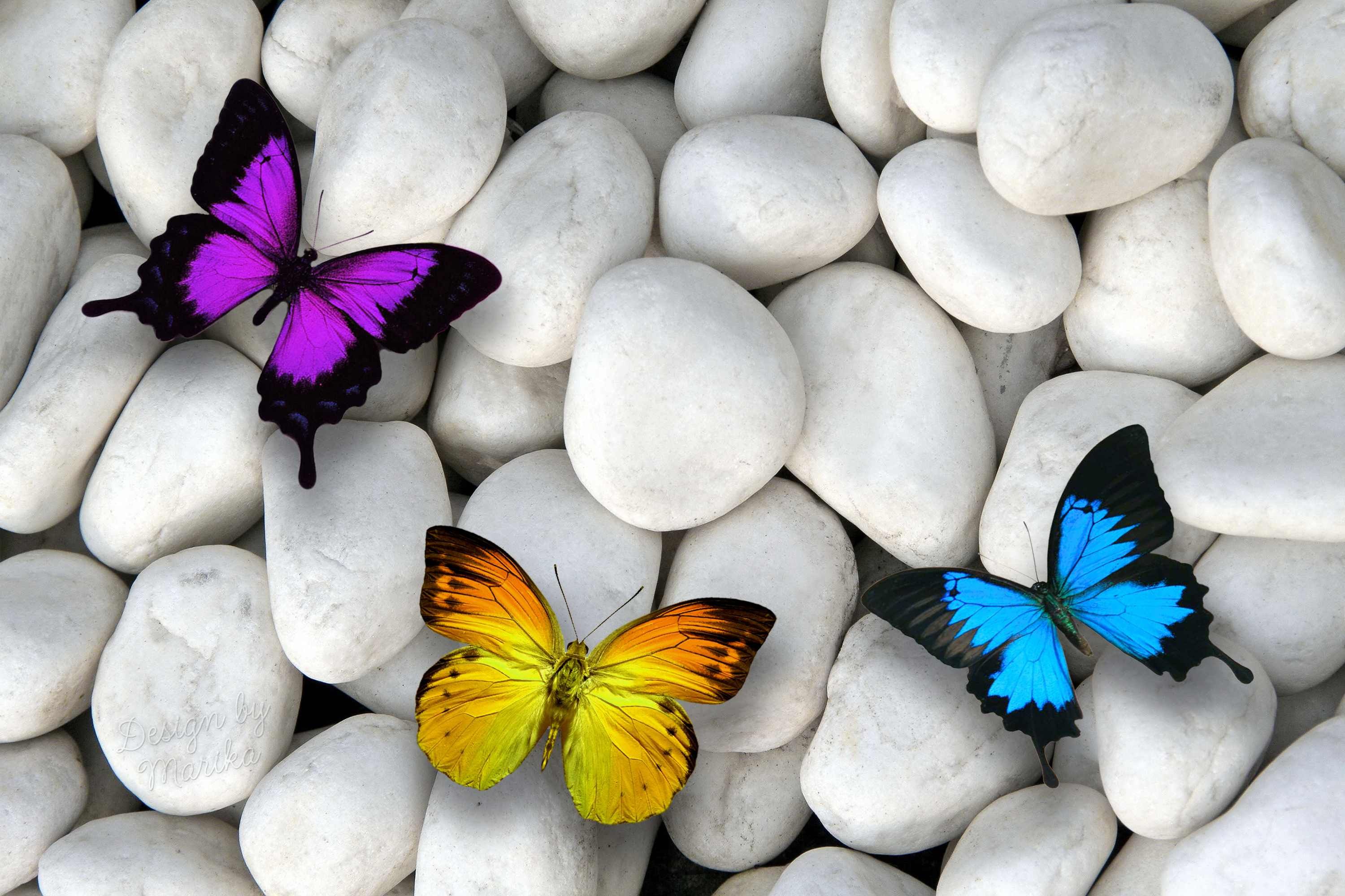 mariposas wallpaper,butterfly,insect,moths and butterflies,pebble,invertebrate