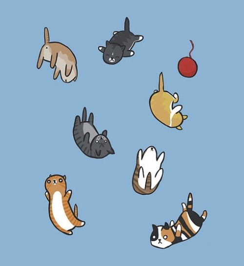 cat wallpaper tumblr,cartoon,illustration,animation,tail,cat