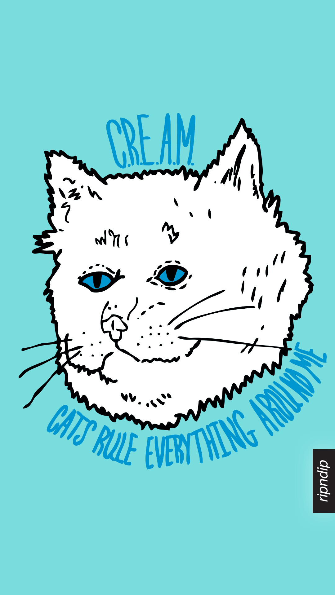 papel pintado ripndip,blanco,cabeza,felidae,azul,bigotes