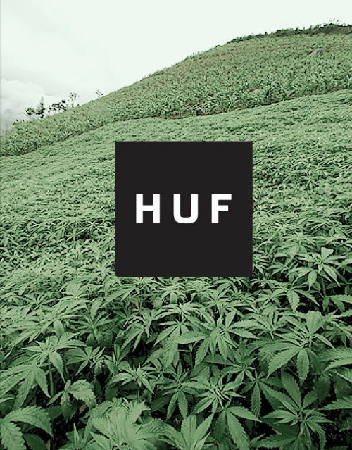 huf wallpaper,vegetation,green,leaf,soil,plant