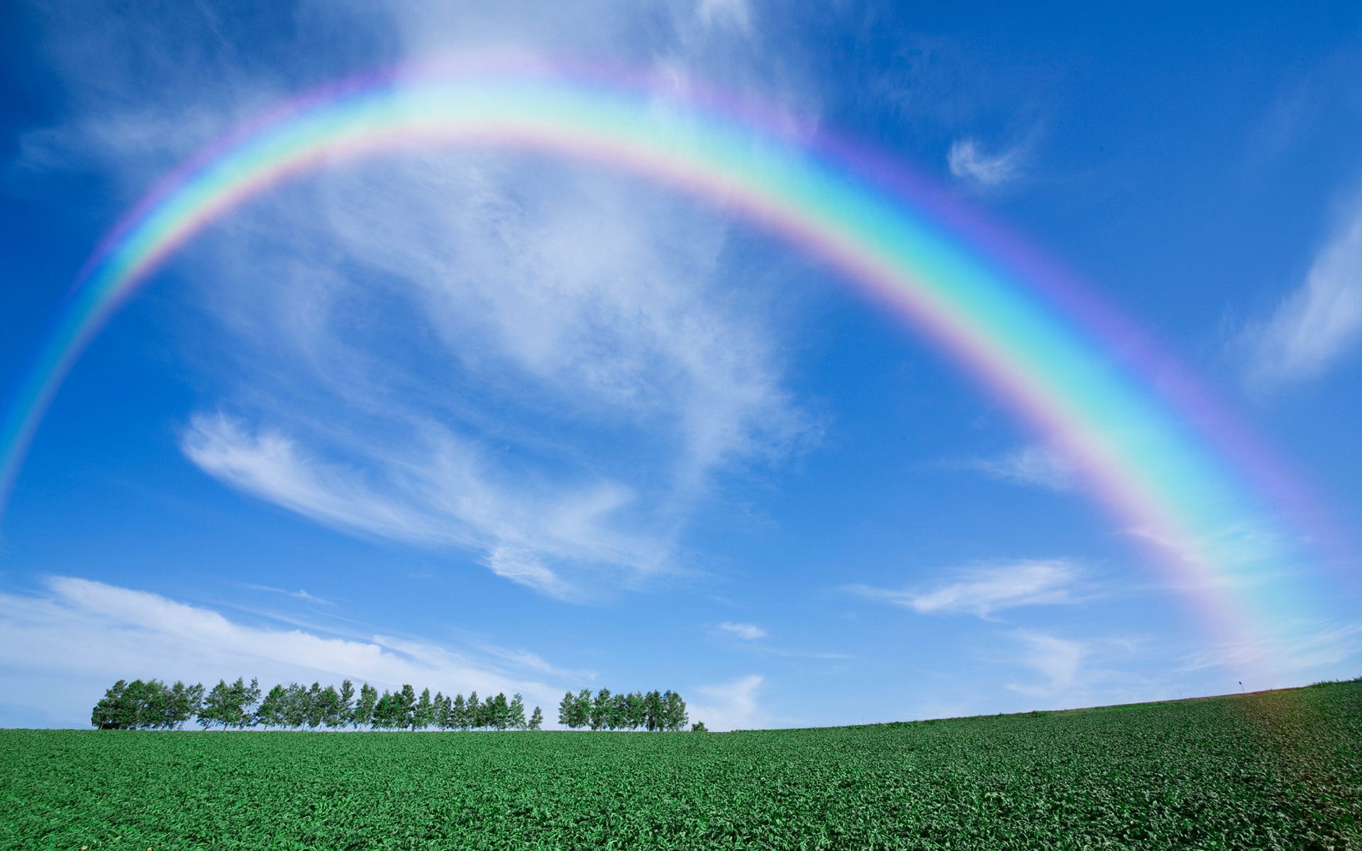 rainbow wallpaper hd,rainbow,sky,natural landscape,nature,grassland