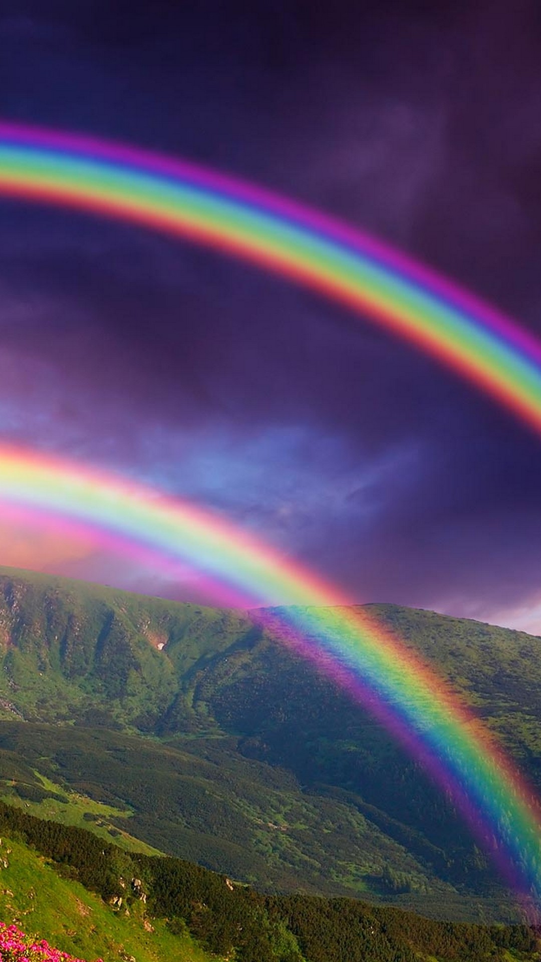 rainbow iphone wallpaper,rainbow,sky,nature,meteorological phenomenon,natural landscape