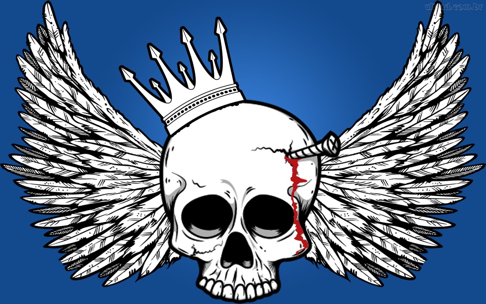 wallpaper caveira,wing,illustration,emblem,skull,bone
